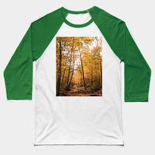 autumn colors Baseball T-Shirt